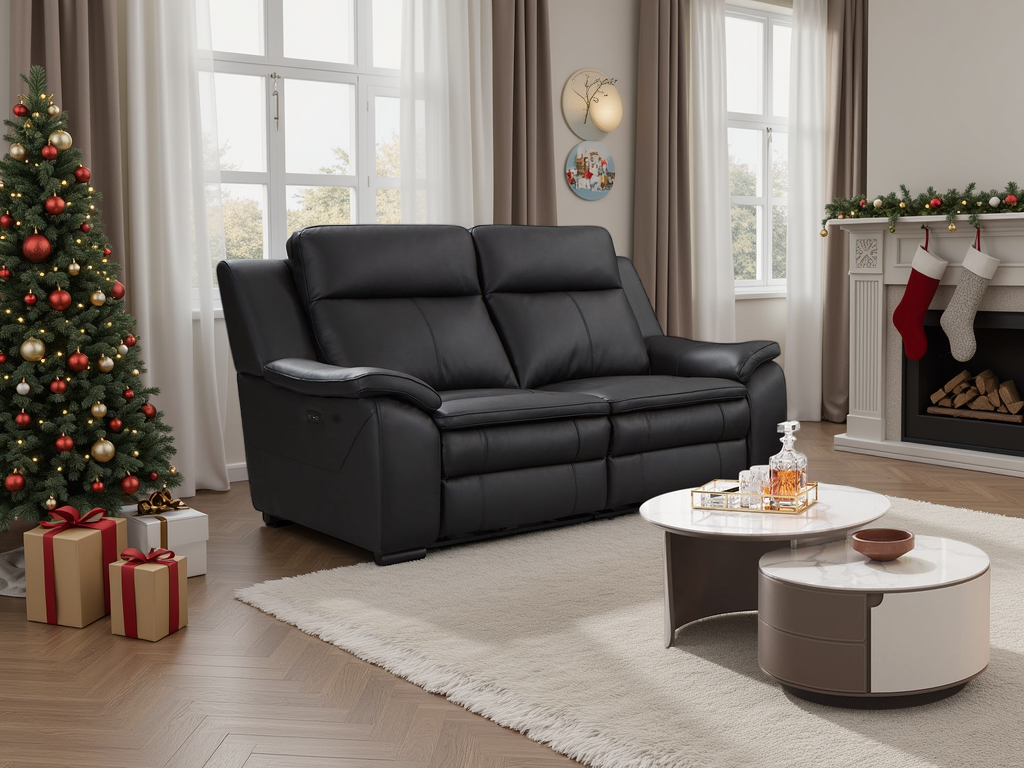 Genuine Leather Electric Recliner Sofa Black 2 Seater