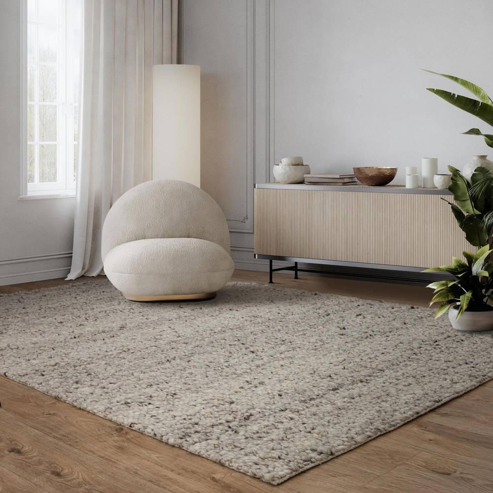 Adler 160x230cm Silver Rug