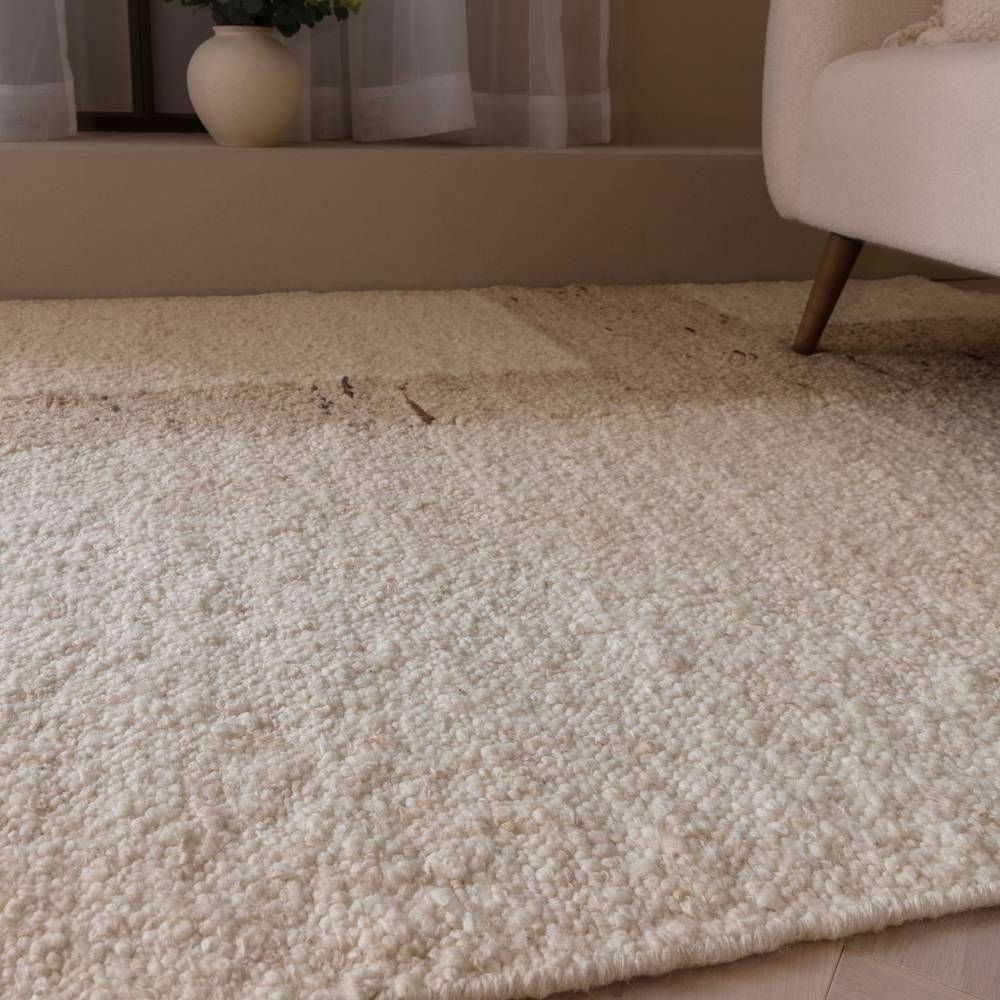 Napa 200x290cm Border Rug